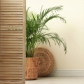 cream-matt-emulsion-paint-ermine-wall-vintro.jpg