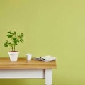 yellow-green-matt-emulsion-paint-citron-vintro.jpg